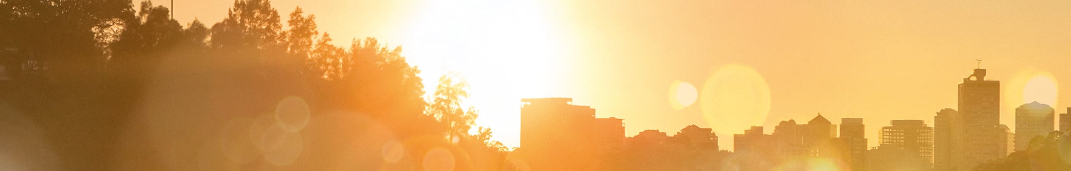 Banner-bg-large-tier2